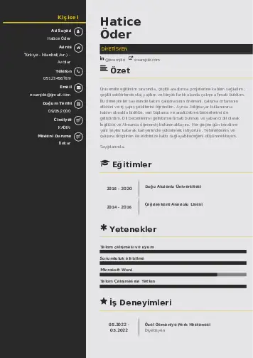 Beslenme Uzmanı Diyetisyen CV Örnekleri cv indir